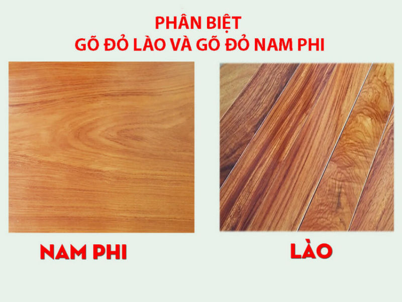 Phân biệt gỗ gõ đỏ Lào và Nam phi