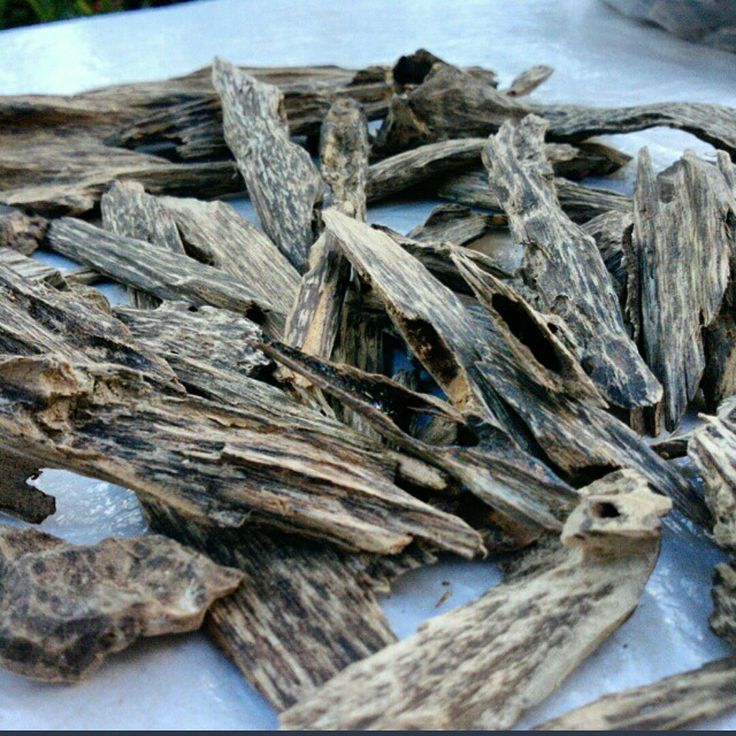 Giá trị của trầm hương kỳ nam