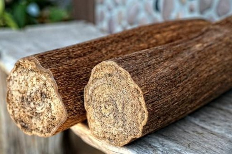 Tìm hiểu về gỗ trầm hương và ứng dụng của trầm trong cuộc sống